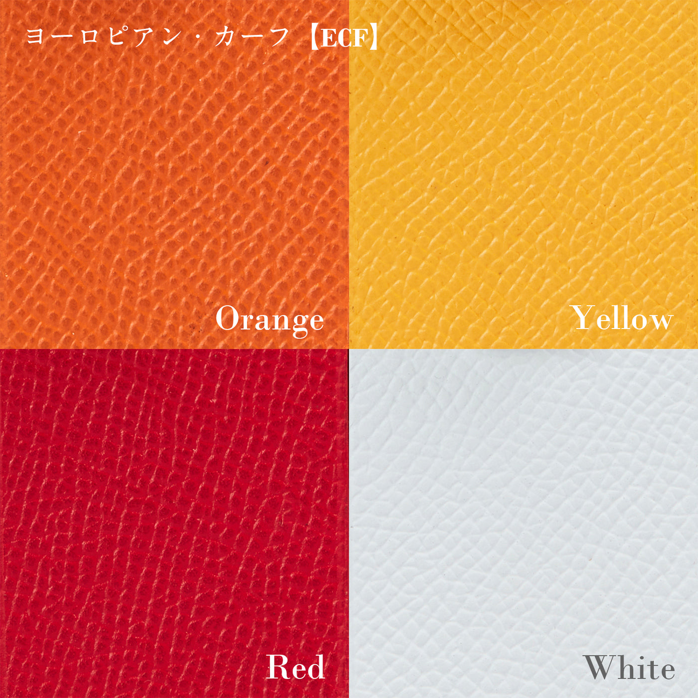 《カラー受注会》【6-1031-ECF】レザーブリーフケース